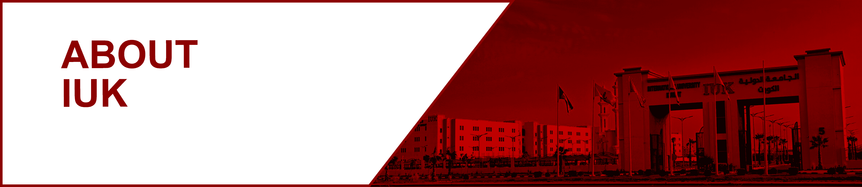 3563 About Iuk Banner
